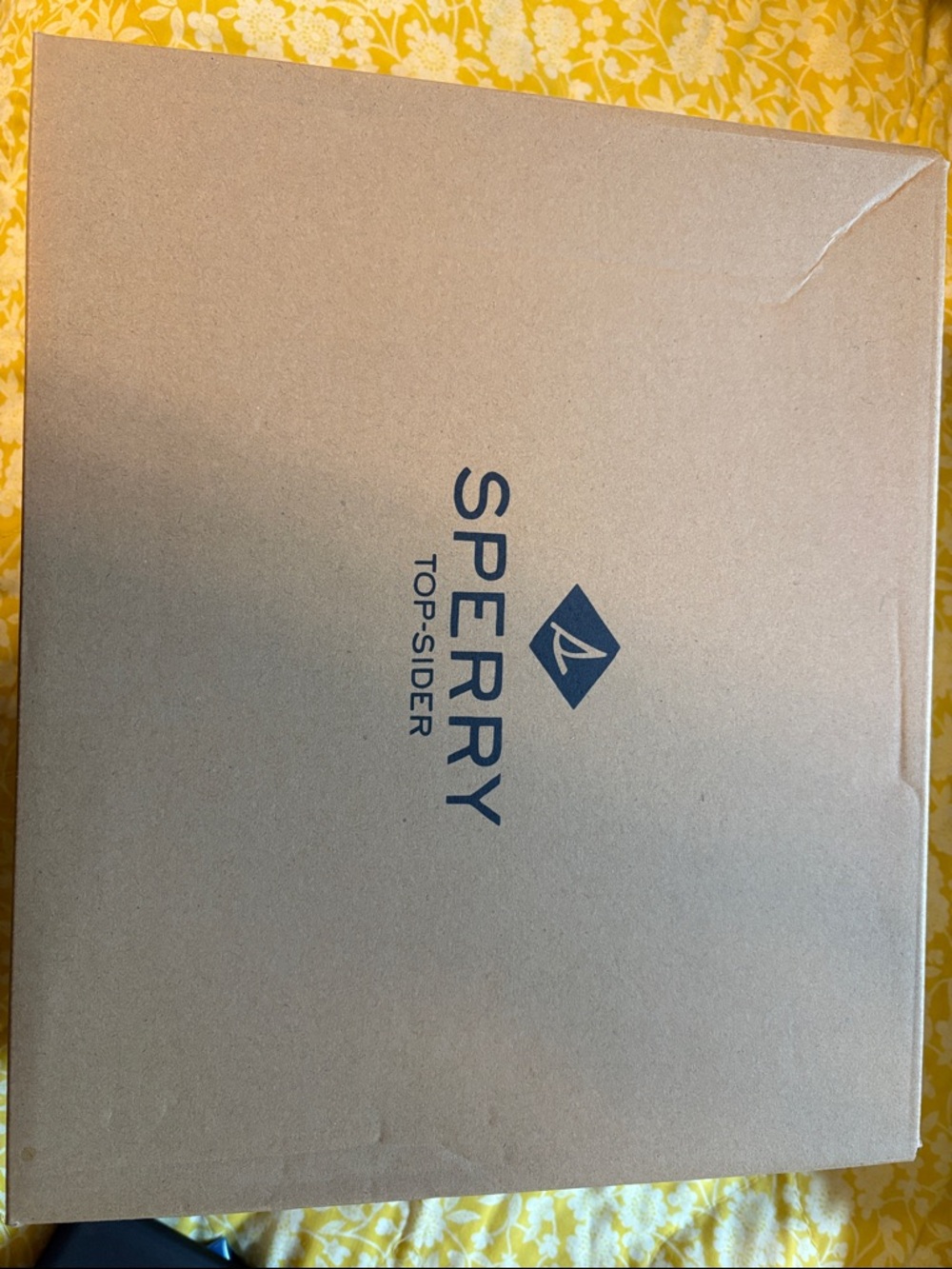 Sperry top sider booties